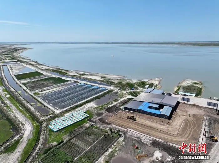 吉林镇赉:错峰小龙虾“游”出湿地富民产业链