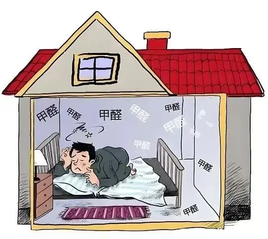 活性炭除甲醛哪个牌子好？2026 年五款除甲醛炭包全面评测，无刺激更安心
