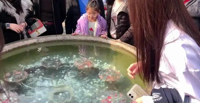南通动物园第四次捐空许愿池硬币!救助白血病患者