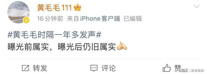 黄毛毛时隔一年多再发声：曝光前属实，曝光后仍旧属实