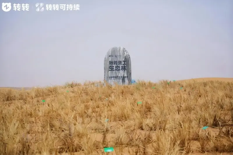循环赋能生态修复，转转集团以长效行动守护绿色家园