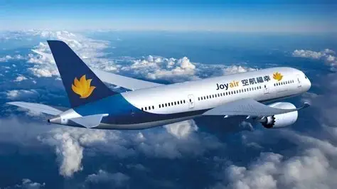 停运一年背负超50亿元债务！幸福航空迈入预重整阶段