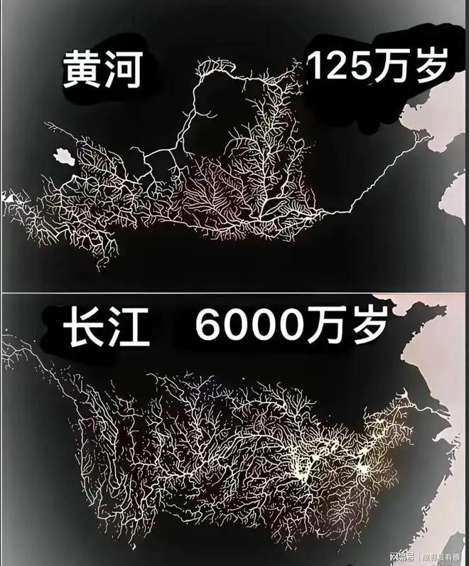 长江：让我“禁渔”十年？行，我还你一个从棺材里爬出来的鱼