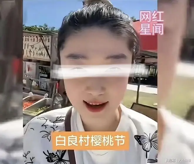 全网封禁！网红博主李雨婵被行拘，曾5年持续围猎头部网红相宜