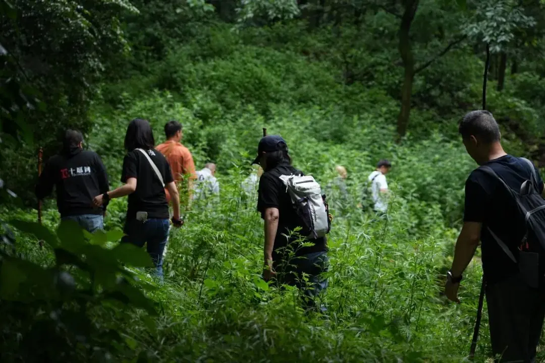 终南山研学图录：行走18处精神地标，寻找中国文化的隐逸和风骨