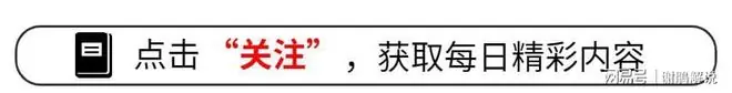 日本主帅含泪道歉！董路点评一针见血，巴西球迷披国旗当面嘲讽