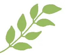 《扁豆爱焖面》开播！离婚一时爽，复婚火葬场 朱雨辰高露上演极限拉扯