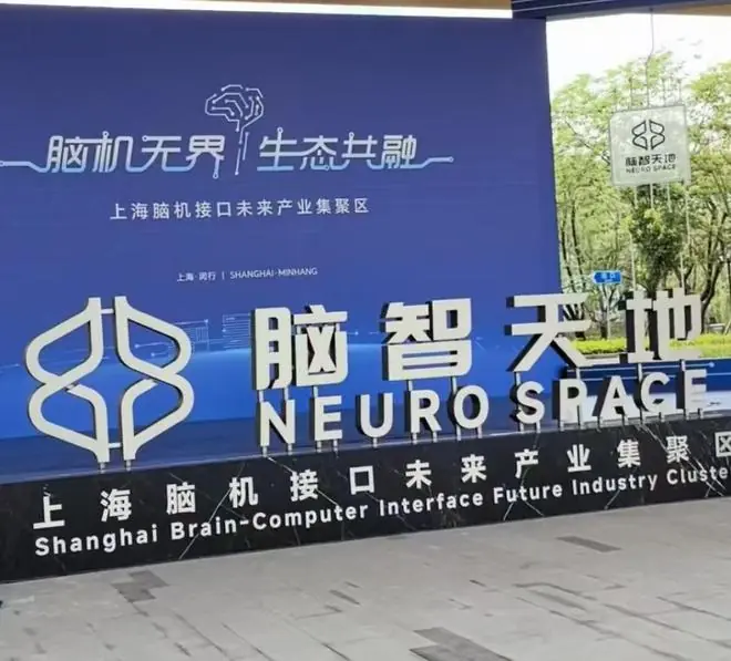 活力中国调研行｜全球首证背后：上海脑机接口产业的“克制”与“务实”