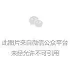 折叠屏的二次进化：AI技术浪潮下，vivo如何回应“人”的时代命题