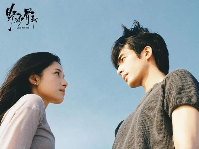 《野狗骨头》定档，宋威龙张婧仪主演，非甜宠偶像剧，很有吸引力