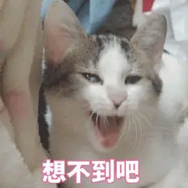 《西游记》：不好，AI这波冲我来了！