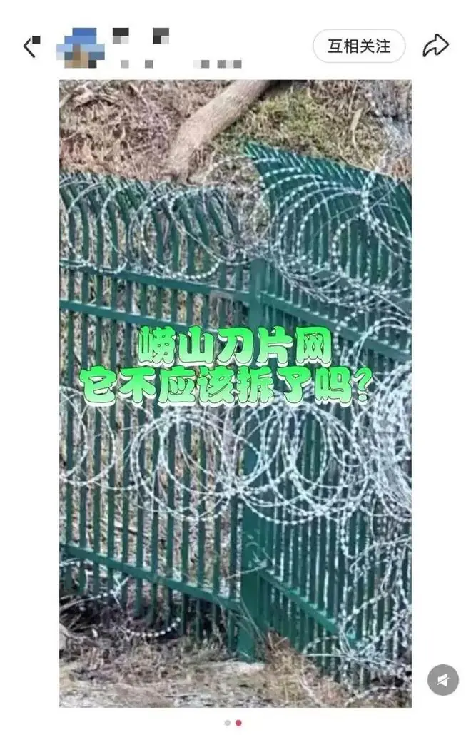 青岛崂山被曝布设泰山同款“刀片网”，景区：设于高山非开放区域，普通游客难抵达