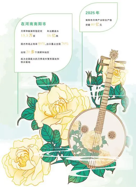 南阳月季，何以一路繁花？（财经深一度·宝藏小城的出口生意经）