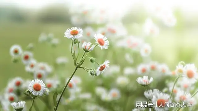我退休金12000，血的教训：再不跟闺蜜搭伴旅游，肠子都悔青了！