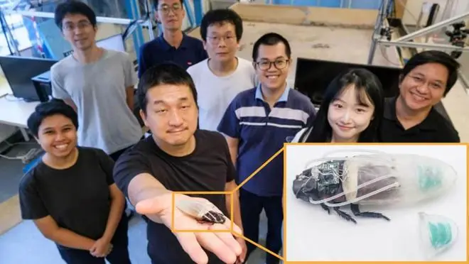 洪水凶猛，突破陆地限制！蟑螂穿上3D打印“潜水服”，有望助力灾后搜救