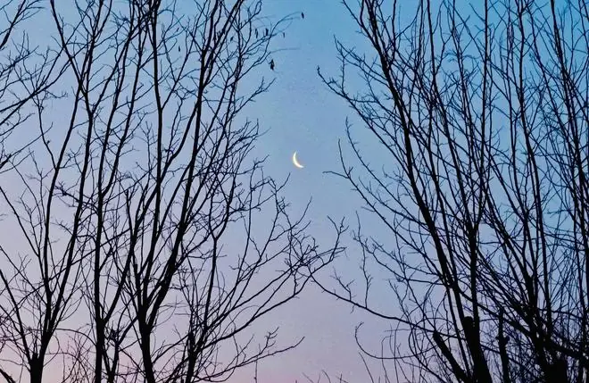 本年度观测条件最好的月伴昴星团将现身夜空