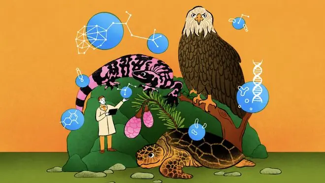 给癌症研发药物的人,如今开始给青蛙、海龟和森林设计新药