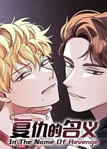 《复仇的名义》复仇的名义漫画完整版~（全集免费阅读）