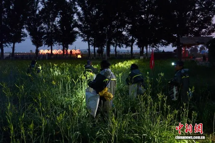 山西大同：一朵“小黄花”撬动乡村振兴大产业