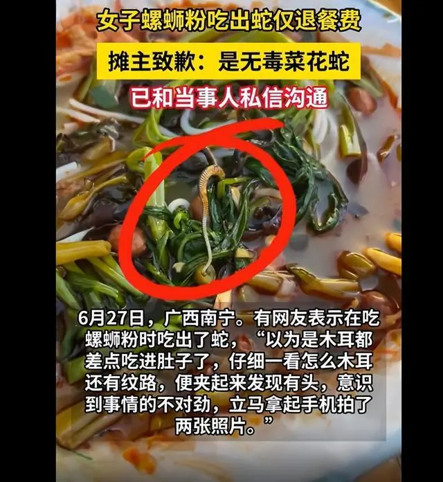 女子吃螺蛳粉吃出一条蛇，事发后工作人员直接端走螺蛳粉倒掉，涉事摊主发文致歉
