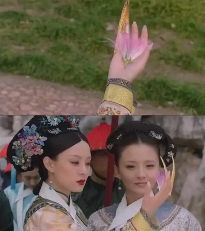 《甄嬛传》同款！沈阳这棵树火了！