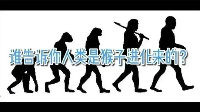 深度长文：进化论最大的误区“人类是猴子进化的”！
