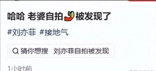 偶遇刘亦菲香港独自吃地摊！跟美食自拍被抓包