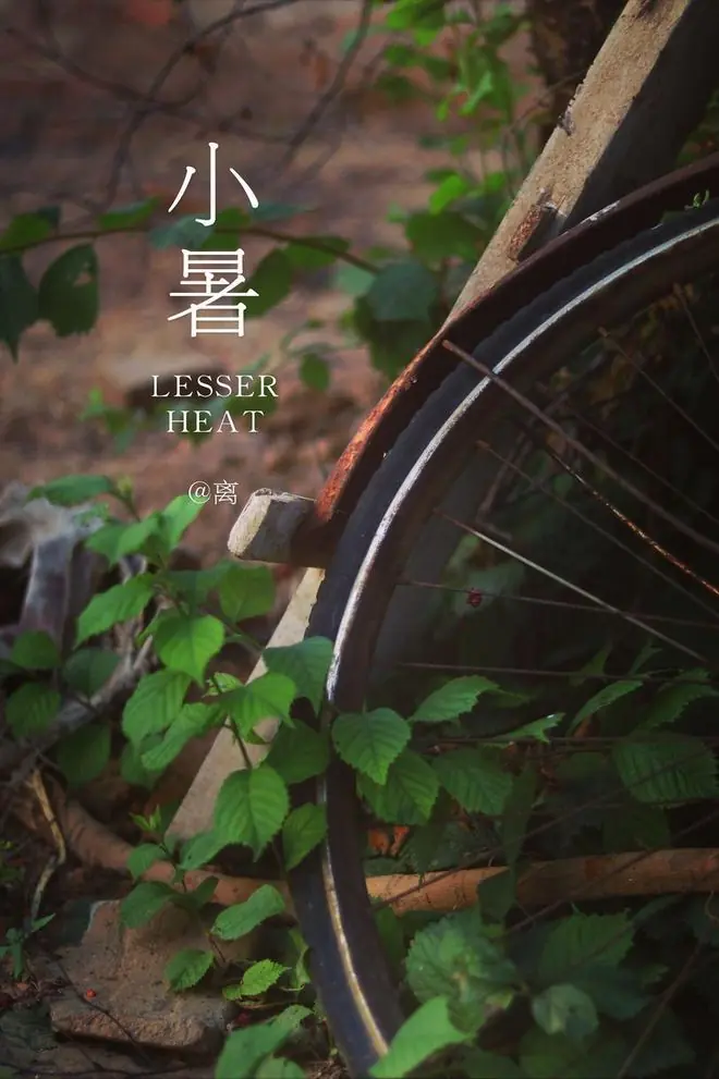 有钱没钱，小暑过后多吃这菜！5种做法简单快手，适配整个夏天