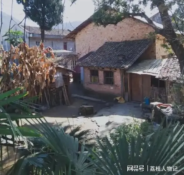 我任职副县长，县委书记看不惯我，若干年后我任省长的下手