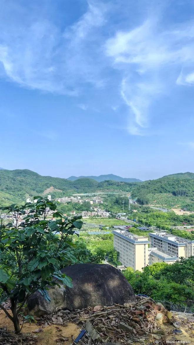 A股:突然跳水跌超70点,原因浮出水面?释放什么信号?A股牛结束了?