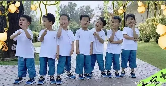 北京七胞胎相关争议从未停歇，众人最关心孩子是否为同一母亲所生