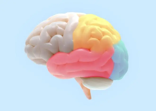 14岁初二孩子突然叛逆、摆烂、爱顶嘴？背后藏着5个脑科学真相