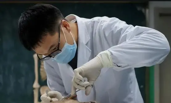 教授为学生上解剖课，察觉尸体标本模样不对劲，下秒赶紧报警求救