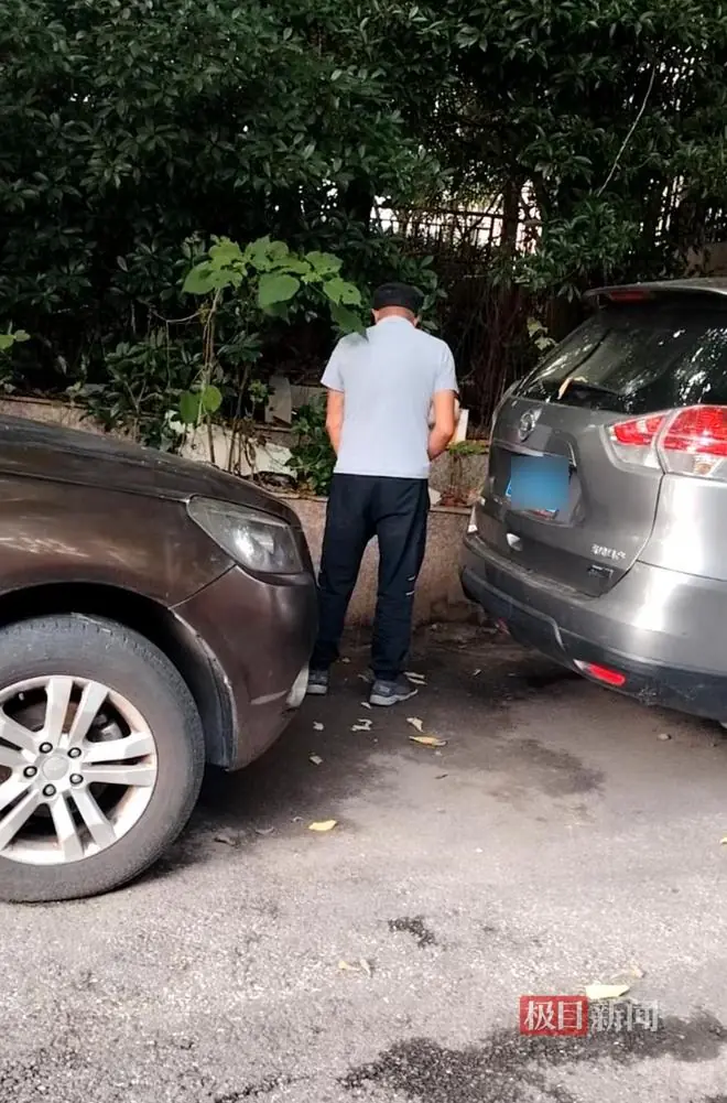 极目帮办丨走几步路就有公厕，有人却非要在小区门口随地小便