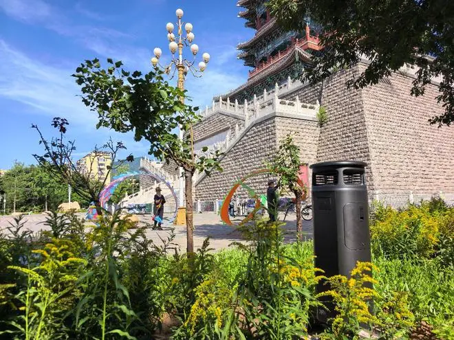 北京首个“无蚊害公园”试点落地门头沟，单日捕捉蚊虫2万余只