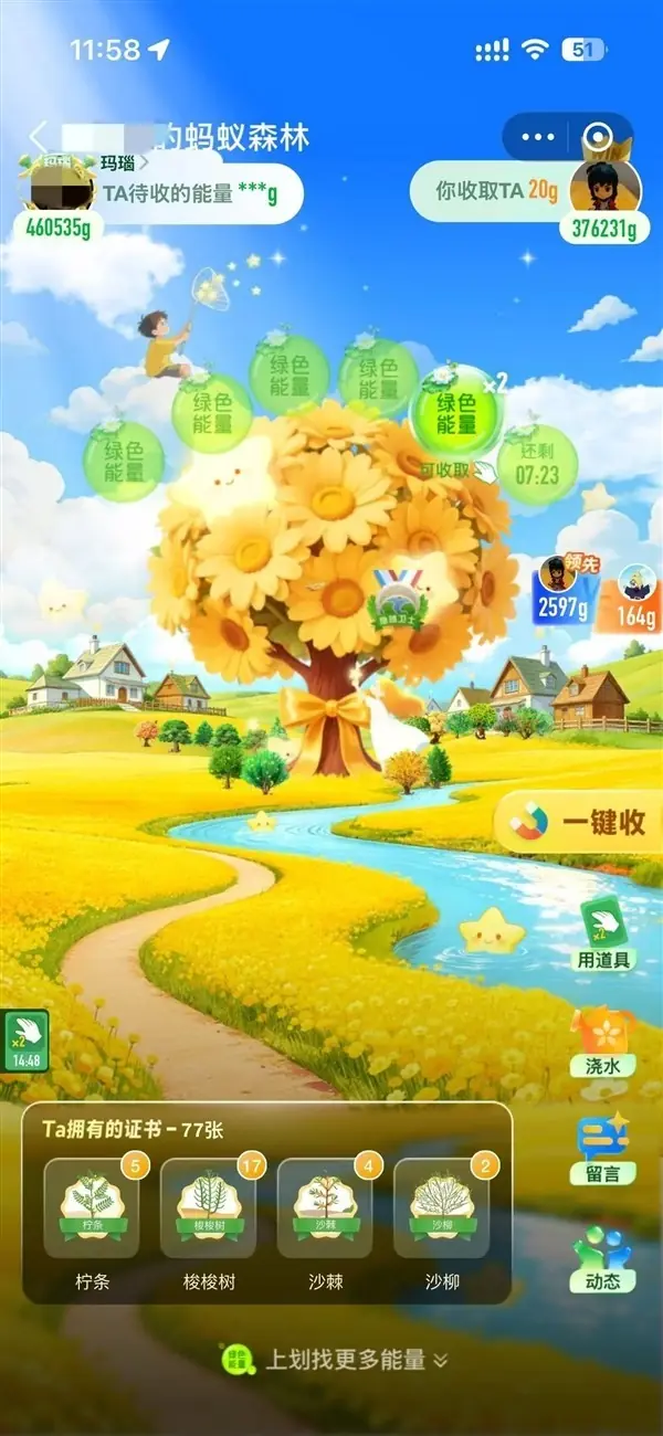 支付宝蚂蚁森林2026年焕新升级：沉浸式好友森林界面上线