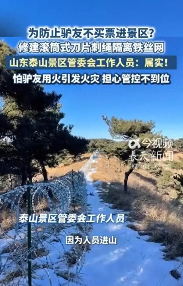 为防止驴友不买票进去？山东泰山景区建135公里刀片刺绳隔离网