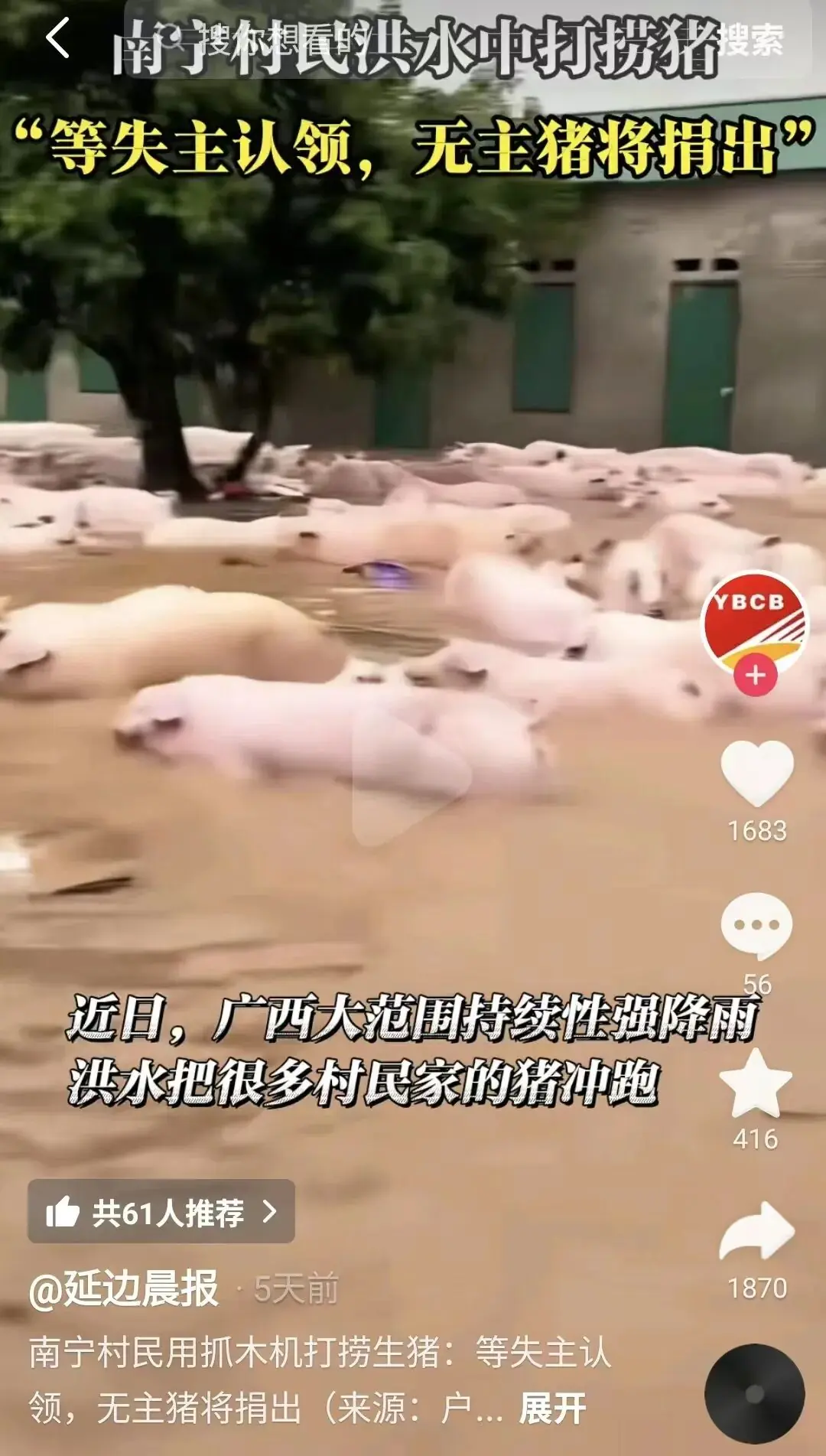 这种肉，看着“新鲜”其实有毒，严重可致死