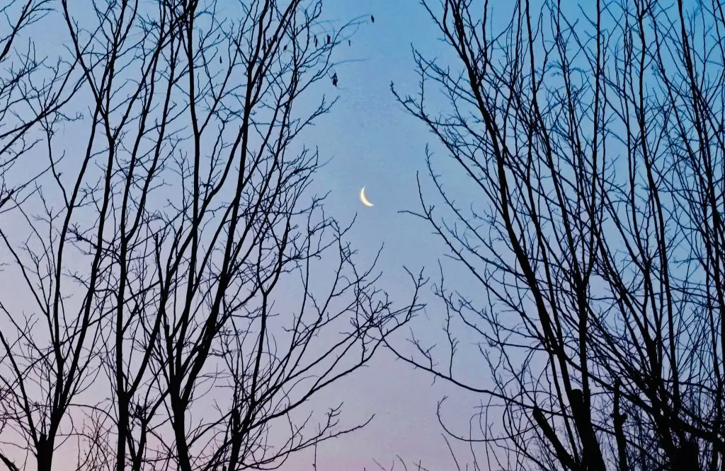 本年度观测条件最好的月伴昴星团将现身夜空