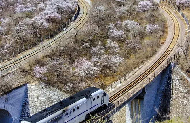 上海铁路局2026录用4473人，研究生大幅增加，南铁院1066人