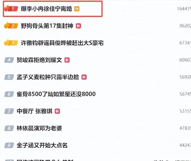 曝李小冉离婚后续，和丈夫曾陷出轨插足风波，不久前男方公开追妻
