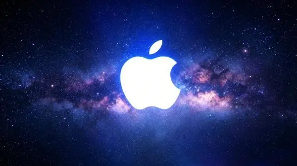 诉讼细节示意图