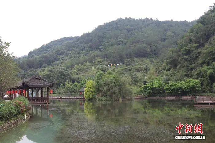 （乡村行·看振兴）凉风村翻身记：地上比地下更有“矿”